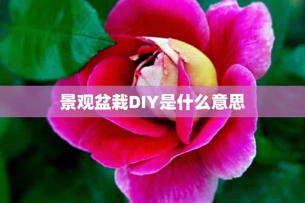 景观盆栽DIY是什么意思