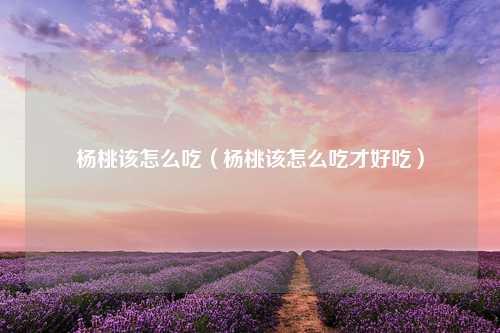 杨桃该怎么吃（杨桃该怎么吃才好吃）