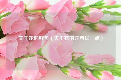 关于花的好句（关于花的好句长一点） 花卉