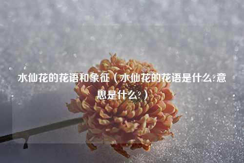 水仙花的花语和象征（水仙花的花语是什么?意思是什么?） 花卉