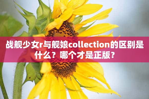 战舰少女r与舰娘collection的区别是什么？哪个才是正版？