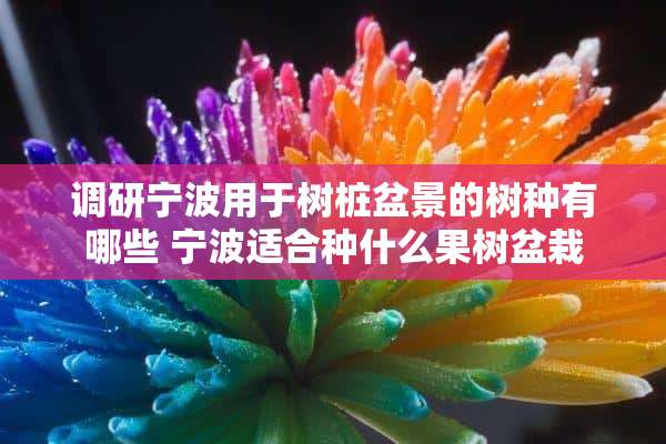 调研宁波用于树桩盆景的树种有哪些 宁波适合种什么果树盆栽