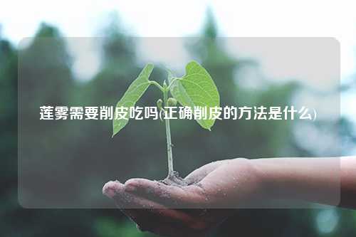 莲雾需要削皮吃吗(正确削皮的方法是什么) 种植业