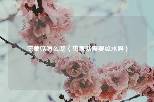 虫草菇怎么吃（虫草菇需要焯水吗） 花卉