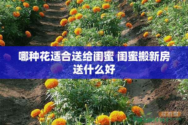 哪种花适合送给闺蜜 闺蜜搬新房送什么好