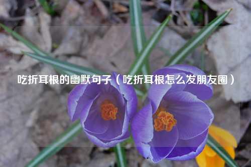 吃折耳根的幽默句子（吃折耳根怎么发朋友圈）