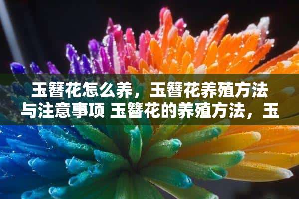 玉簪花怎么养，玉簪花养殖方法与注意事项 玉簪花的养殖方法，玉簪花的养殖经验分享