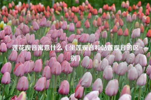 莲花观音寓意什么（坐莲观音和站莲观音的区别） 花卉