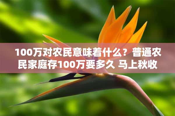 100万对农民意味着什么？普通农民家庭存100万要多久 马上秋收了，70，80的农村朋友，有没有关于秋收时的童年回忆