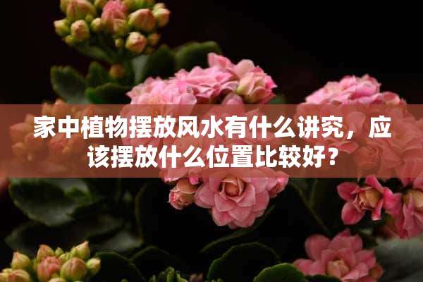 家中植物摆放风水有什么讲究，应该摆放什么位置比较好？