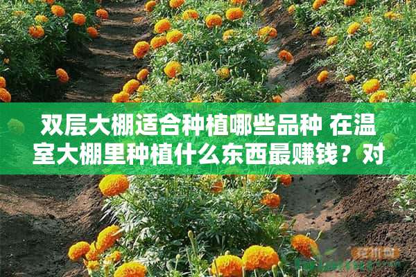 双层大棚适合种植哪些品种 在温室大棚里种植什么东西最赚钱？对此你怎么看