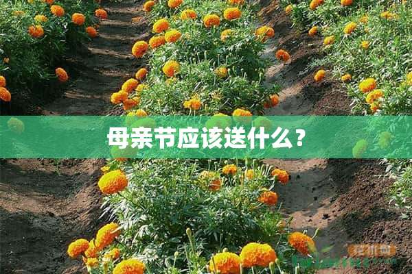 母亲节应该送什么？