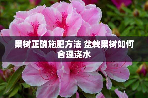 果树正确施肥方法 盆栽果树如何合理浇水