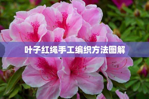 叶子红绳手工编织方法图解