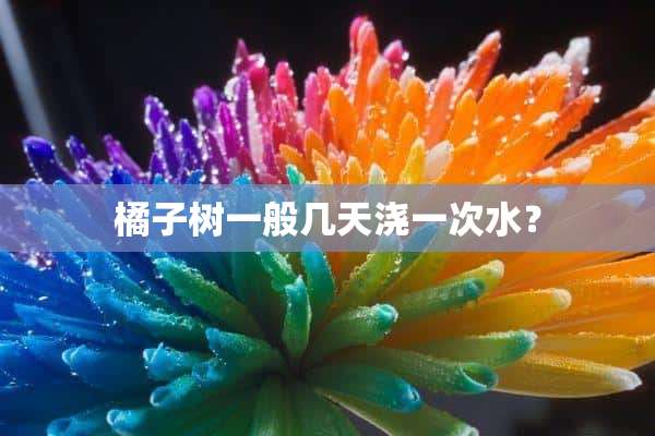 橘子树一般几天浇一次水？