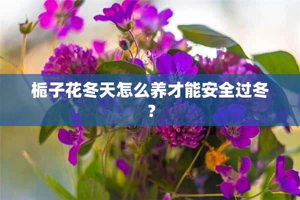 栀子花冬天怎么养才能安全过冬？