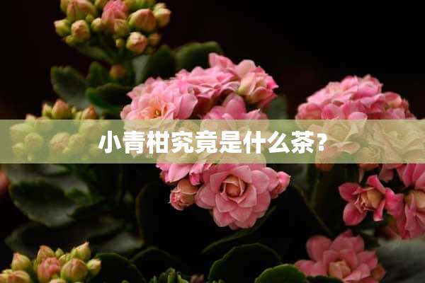 小青柑究竟是什么茶？