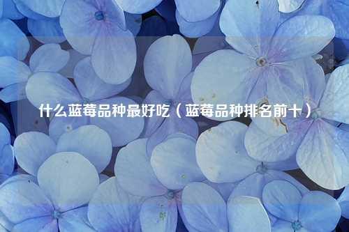 什么蓝莓品种最好吃（蓝莓品种排名前十） 花卉