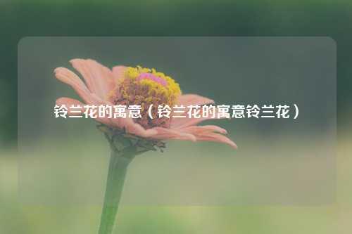 铃兰花的寓意（铃兰花的寓意铃兰花） 花卉