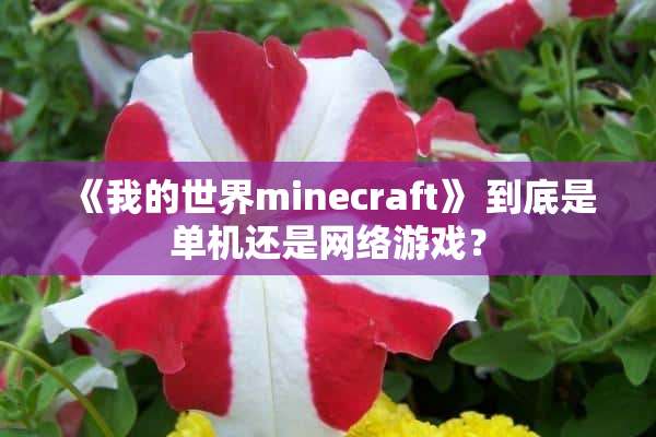 《我的世界minecraft》 到底是单机还是网络游戏？