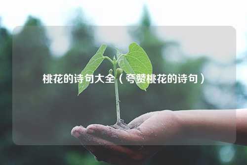 桃花的诗句大全（夸赞桃花的诗句） 花卉