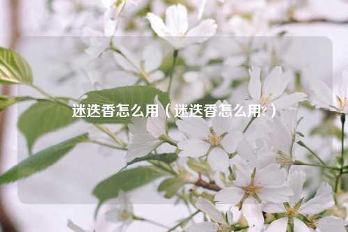 迷迭香怎么用（迷迭香怎么用?） 花卉