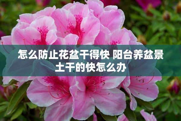 怎么防止花盆干得快 阳台养盆景土干的快怎么办