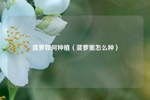 菠萝如何种植（菠萝蜜怎么种） 花卉