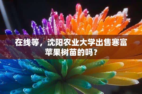 在线等，沈阳农业大学出售寒富苹果树苗的吗？