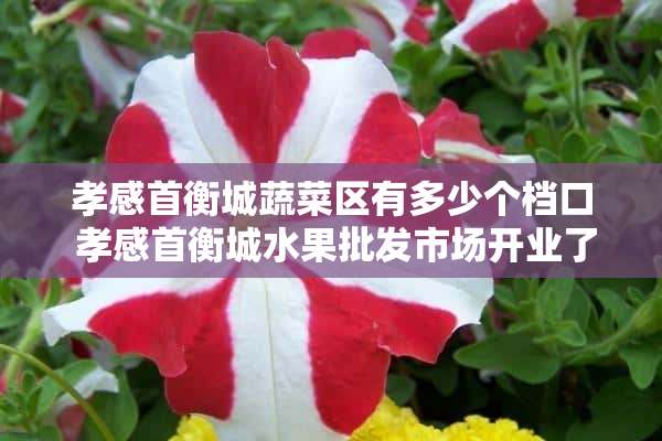 孝感首衡城蔬菜区有多少个档口 孝感首衡城水果批发市场开业了没