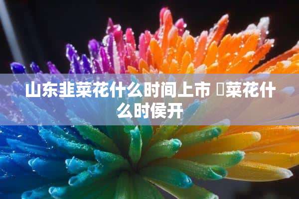 山东韭菜花什么时间上市 韮菜花什么时侯开