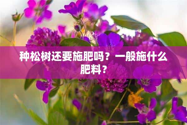 种松树还要施肥吗？一般施什么肥料？