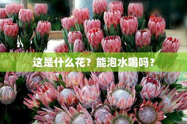 这是什么花？能泡水喝吗？