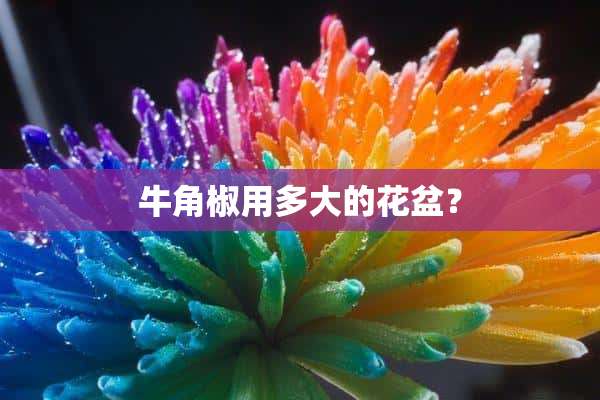 牛角椒用多大的花盆？