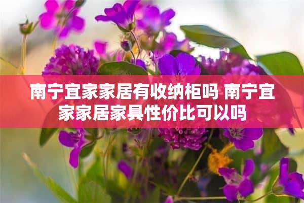 南宁宜家家居有收纳柜吗 南宁宜家家居家具性价比可以吗