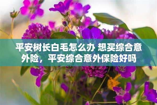 平安树长白毛怎么办 想买综合意外险，平安综合意外保险好吗