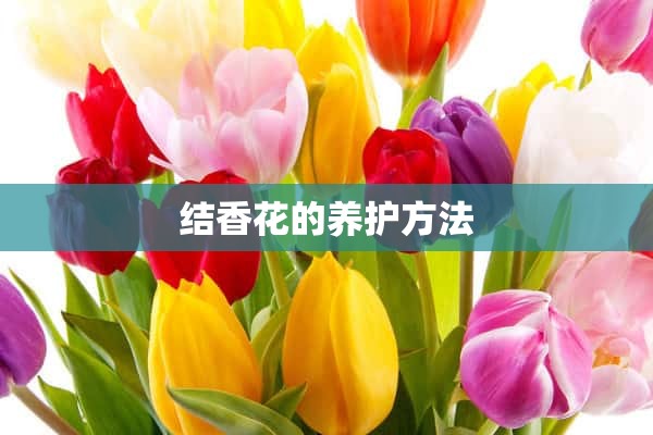 结香花的养护方法