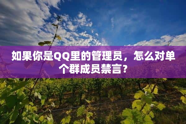 如果你是QQ里的管理员，怎么对单个群成员禁言？