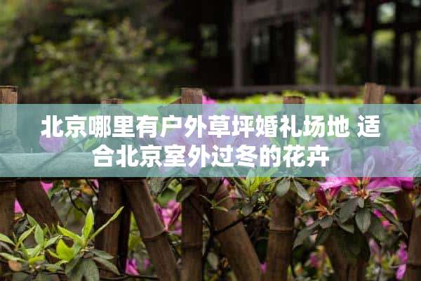 北京哪里有户外草坪婚礼场地 适合北京室外过冬的花卉