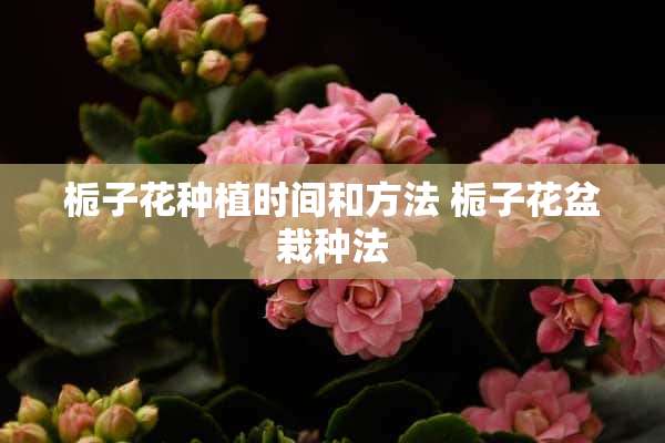 栀子花种植时间和方法 栀子花盆栽种法