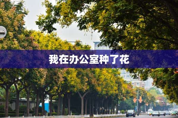 我在办公室种了花