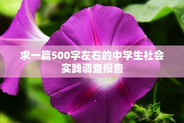 求一篇500字左右的中学生社会实践调查报告