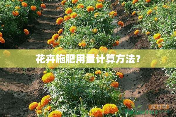 花卉施肥用量计算方法？