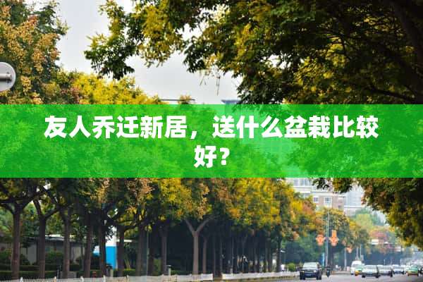 友人乔迁新居，送什么盆栽比较好？