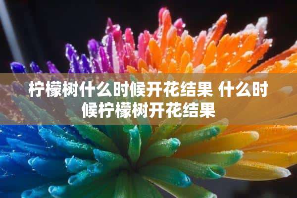 柠檬树什么时候开花结果 什么时候柠檬树开花结果