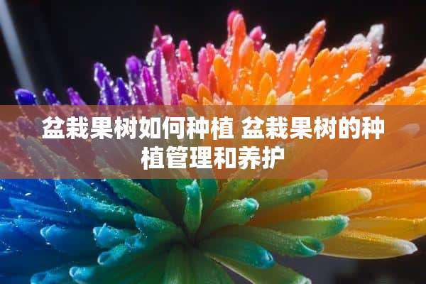 盆栽果树如何种植 盆栽果树的种植管理和养护