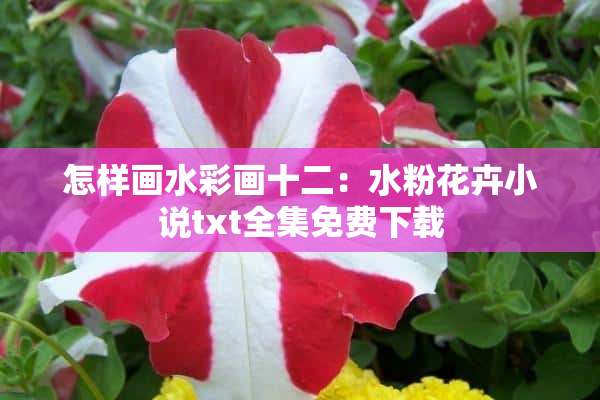 怎样画水彩画十二：水粉花卉小说txt全集免费下载