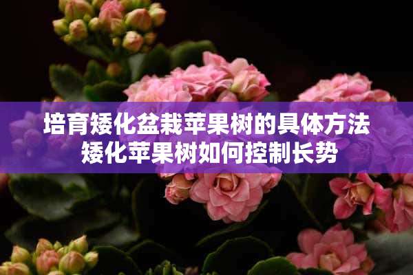 培育矮化盆栽苹果树的具体方法 矮化苹果树如何控制长势