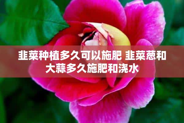 韭菜种植多久可以施肥 韭菜葱和大蒜多久施肥和浇水