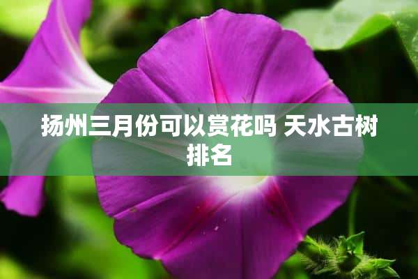 扬州三月份可以赏花吗 天水古树排名